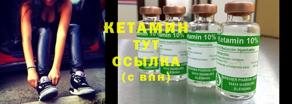 индика Надым