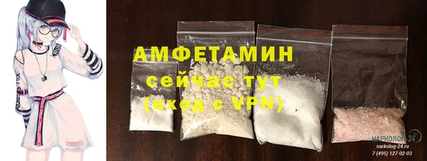 индика Надым