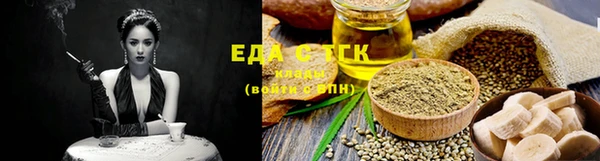 индика Надым