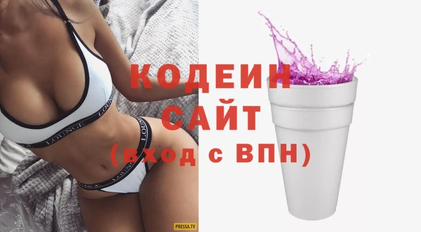 индика Надым