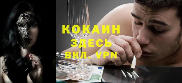 индика Надым