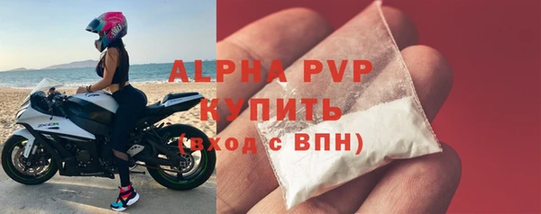 индика Надым
