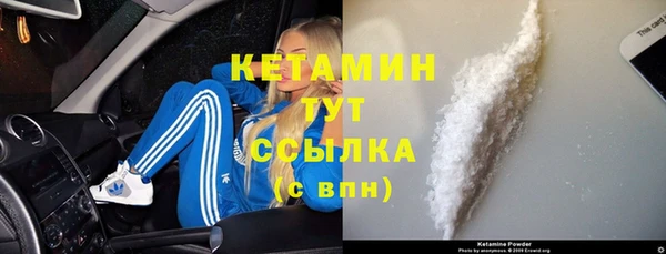 индика Надым