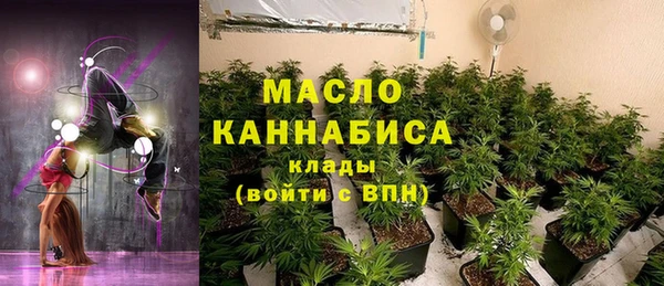 индика Надым