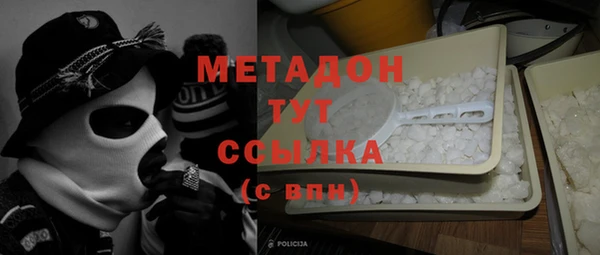 индика Надым