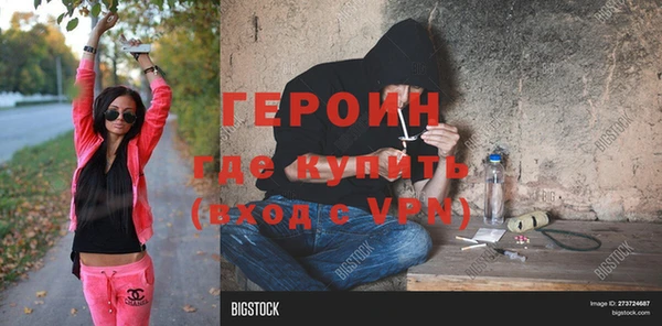 индика Надым