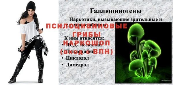 индика Надым