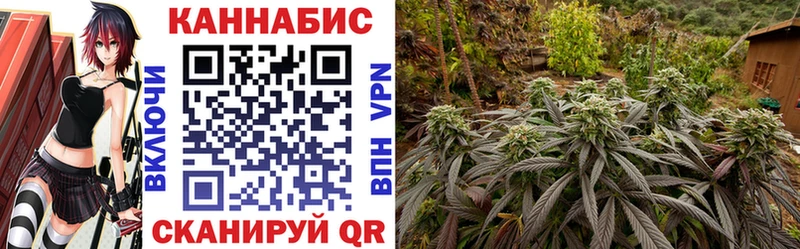 Бошки Шишки гибрид  Лангепас 