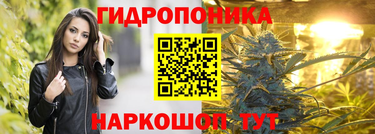 Бошки Шишки индика Лангепас